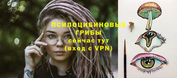 спайс Горно-Алтайск