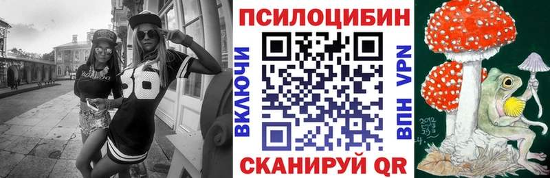 Купить где  Спас-Деменск  Галлюциногенные грибы мухоморы 